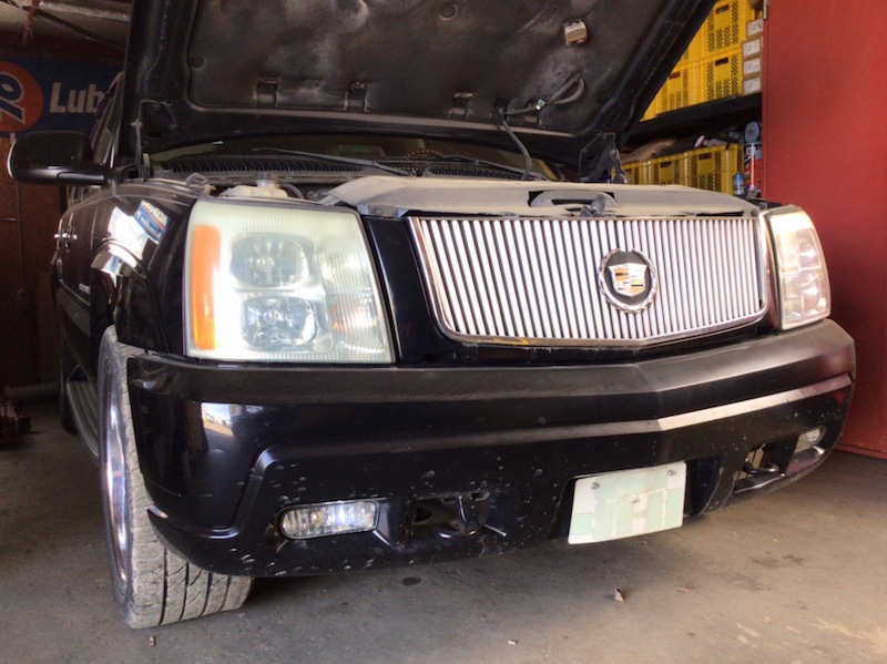 サムネール画像