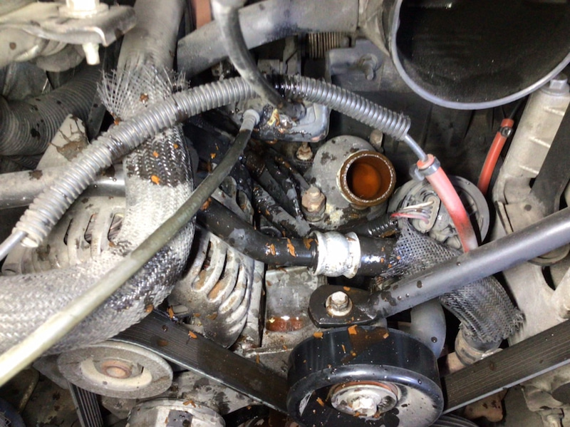 サムネール画像