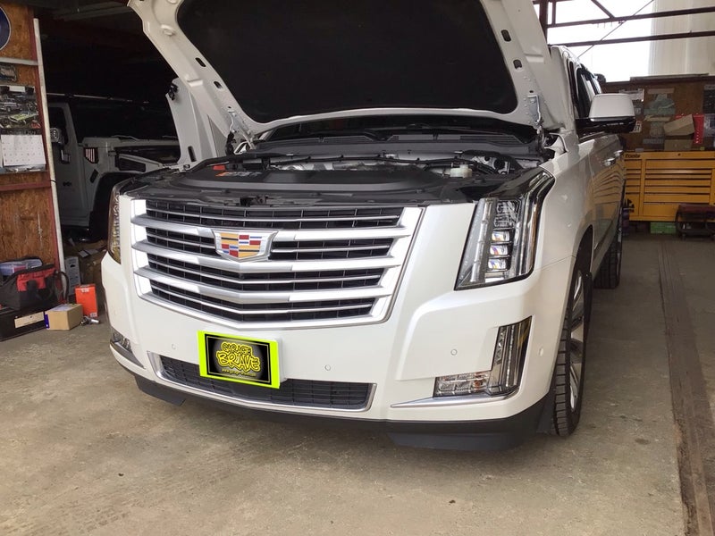 サムネール画像